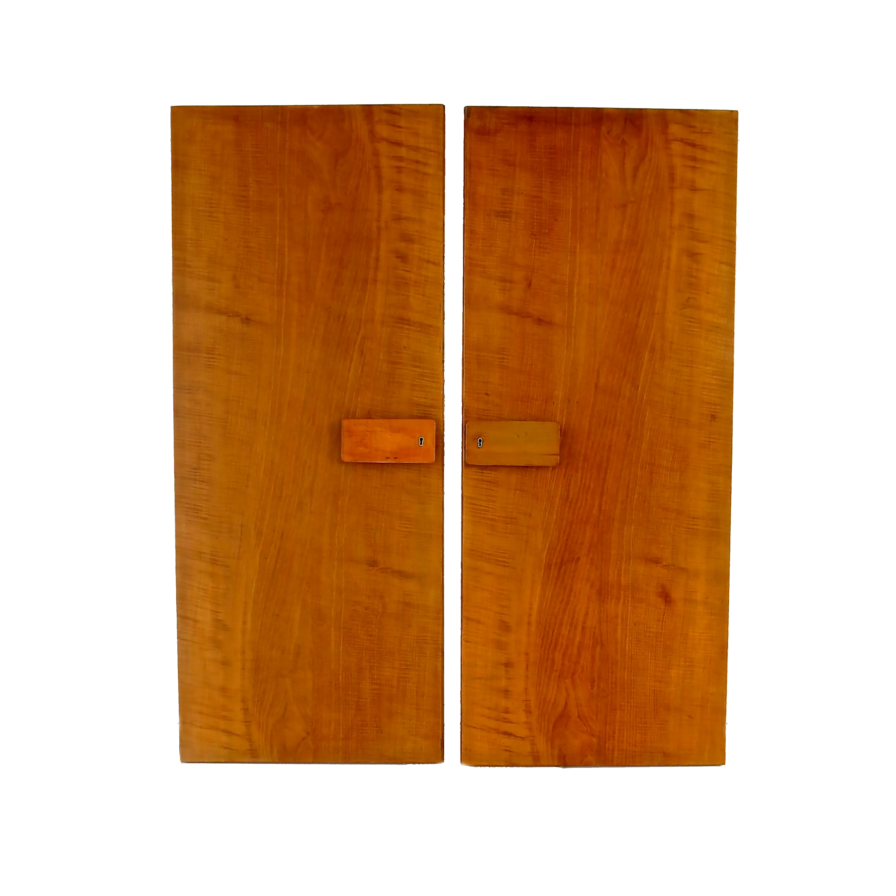 Pair of rare Gio Ponti Wardrobe Doors from the Hotel Royal, Naples, 1955 — image 1